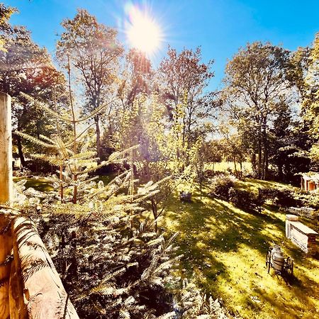 La Cabane Perchee Du Trappeur Ecrainville Luaran gambar