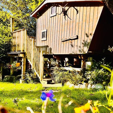La Cabane Perchee Du Trappeur Ecrainville Luaran gambar