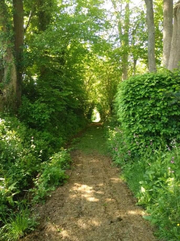 La Cabane Perchee Du Trappeur Ecrainville Luaran gambar