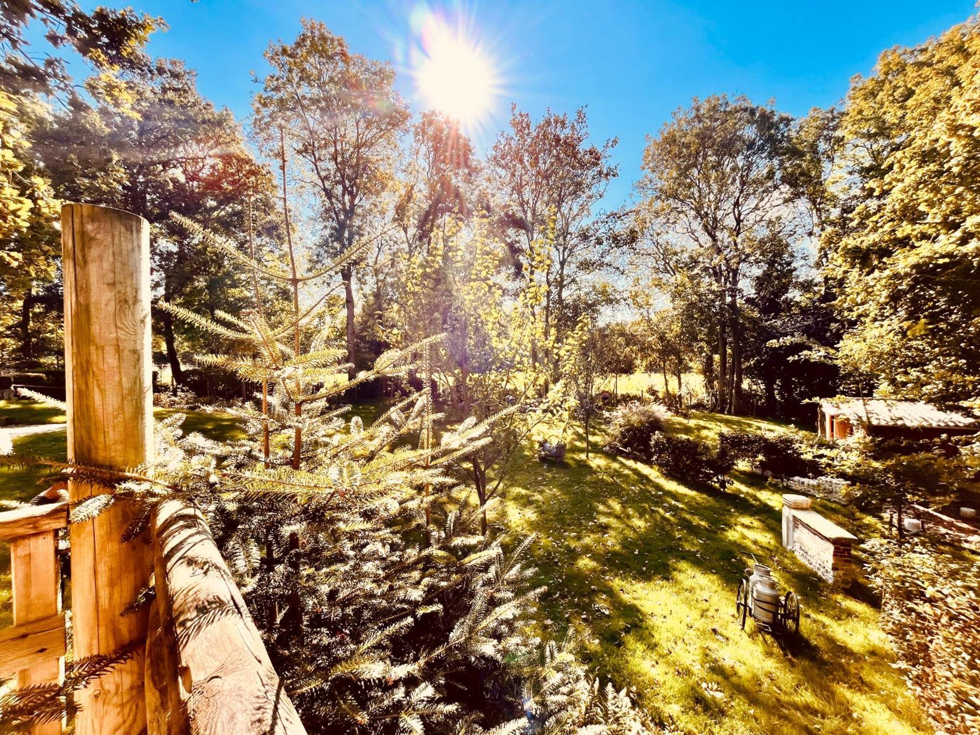 La Cabane Perchee Du Trappeur Ecrainville Luaran gambar